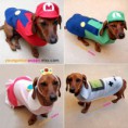 /album/fashion-pups/puppy-2-jpg/